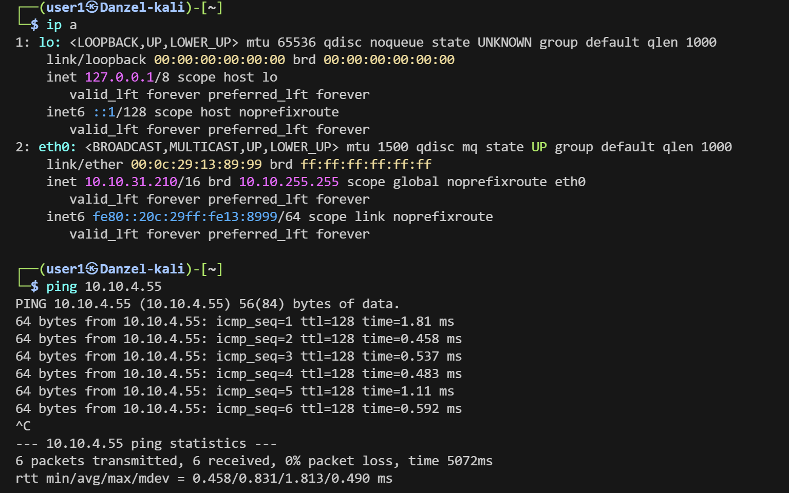 Kali Linux 網路配置