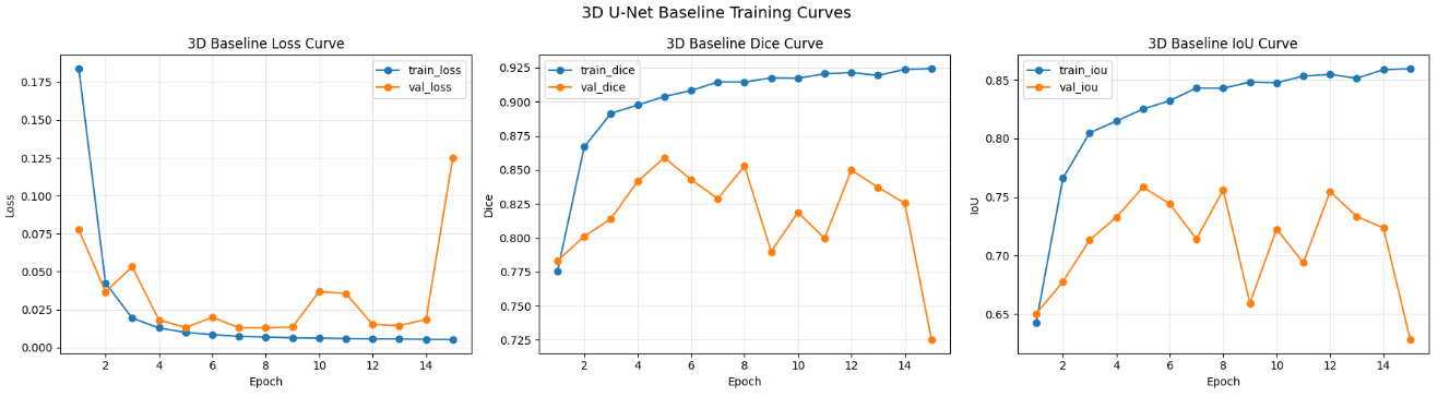 3D baseline 的訓練曲線,顯示 training loss、validation loss 與 validation Dice 隨 epoch 變化。